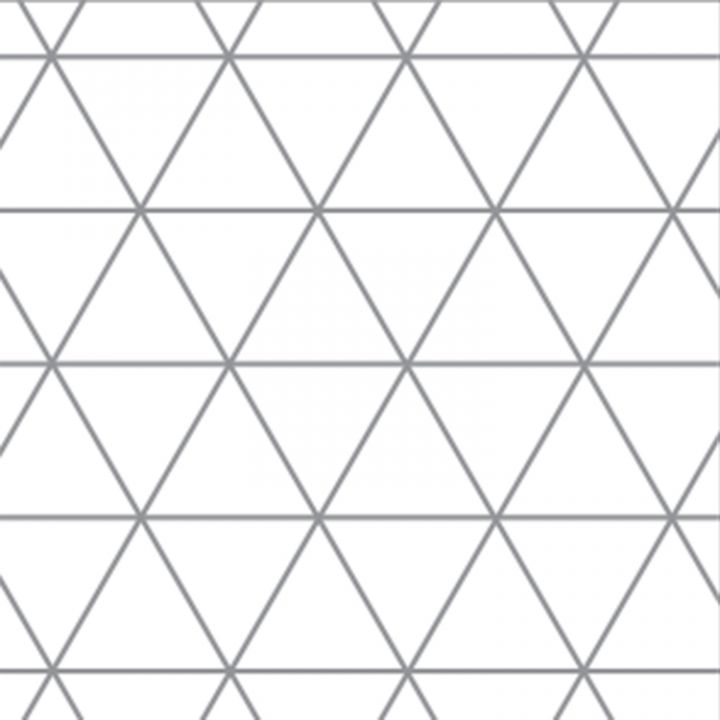 A4 Maths Paper 10mm Isometric Grid Clyde Paper And Print
