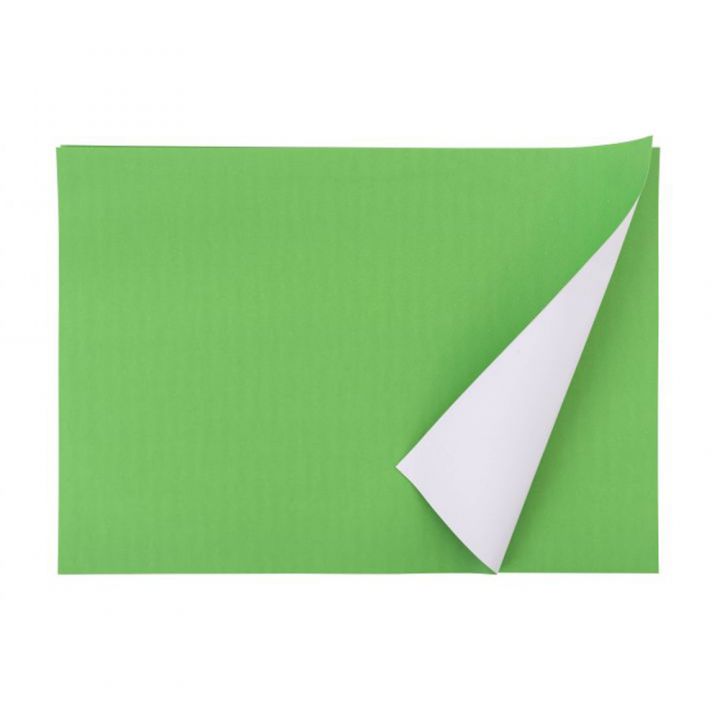 A3 Poster Paper Leaf Green 