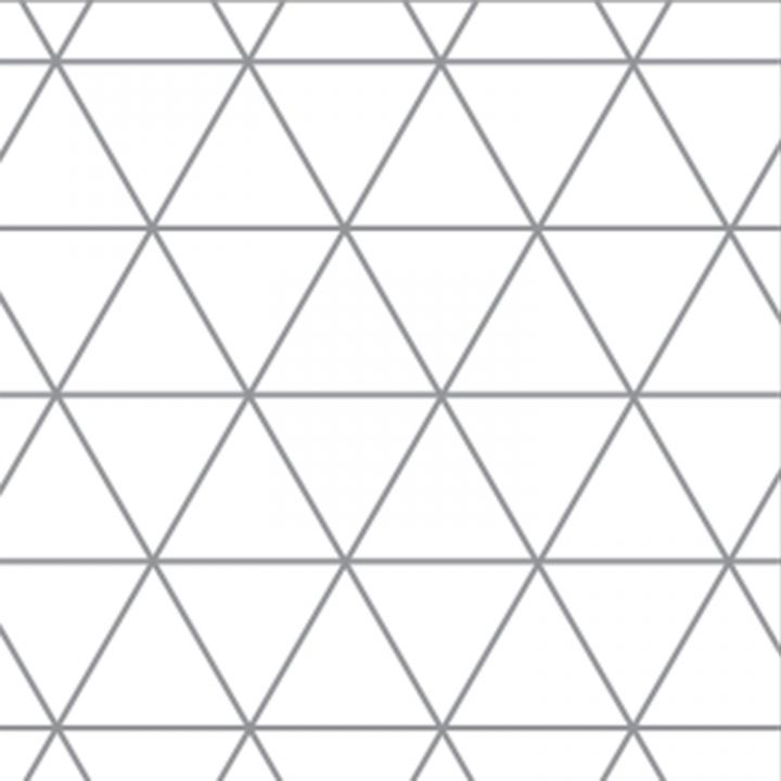 A4 Maths Paper 10mm Isometric Grid